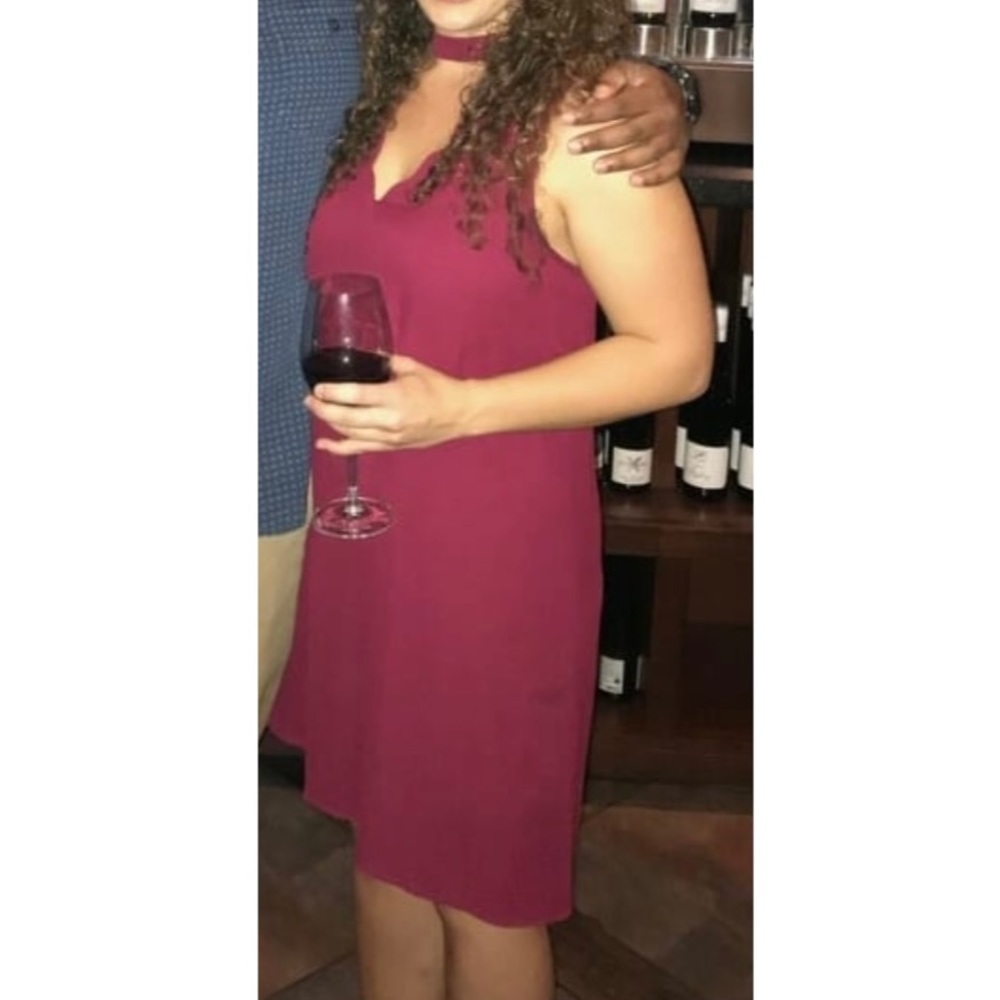 Francescas Miami Burgundy Dress